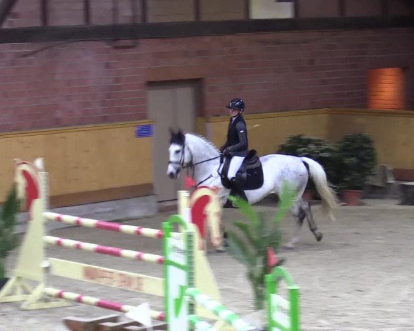 Reitturnier Hamburg-Friedrichshulde/Sylva Kuhrt 2024