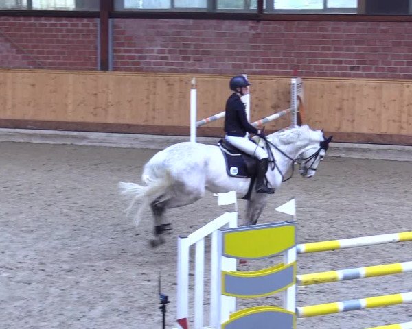Reitturnier Hamburg-Friedrichshulde/Sylva Kuhrt 2024