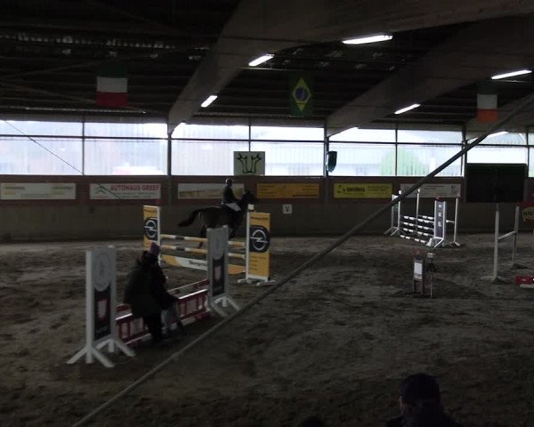 Reitturnier Lembeck 2024