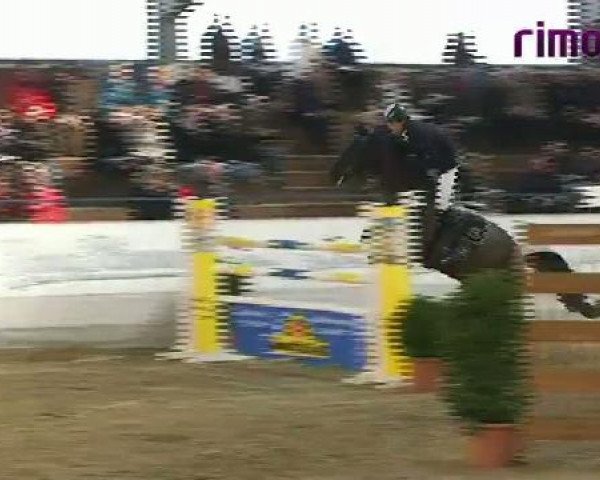 Borken 2011