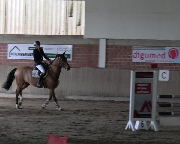 Reitturnier Lembeck 2024