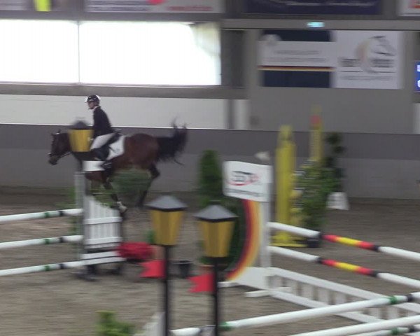 Reitturnier Luhmühlen 2024