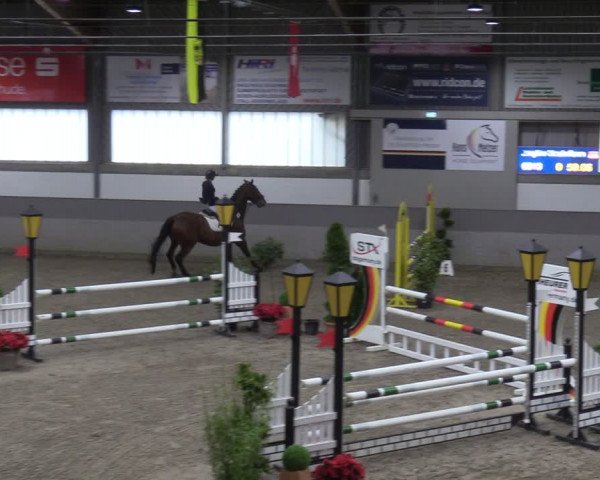 Reitturnier Luhmühlen 2024