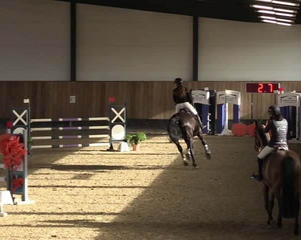 Reitturnier Zwickau 2024