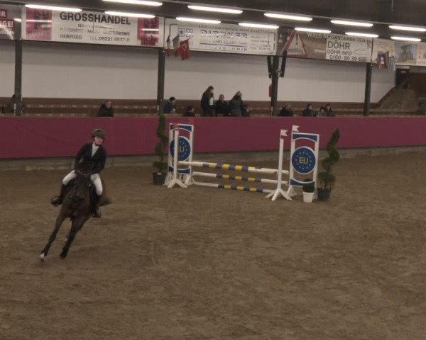 Reitturnier Vlotho-Exter 2024