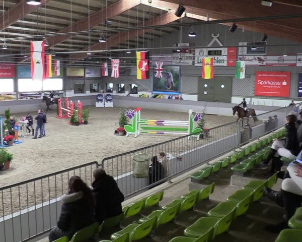 Reitturnier Luhmühlen 2024