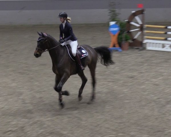 Reitturnier Luhmühlen 2024