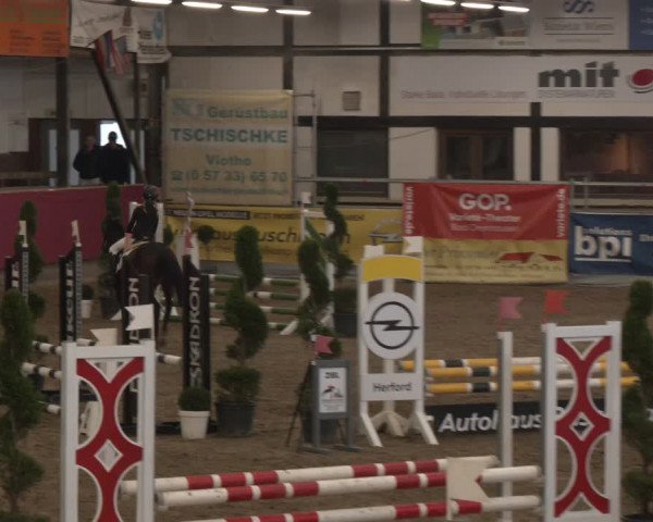 Reitturnier Vlotho-Exter 2024