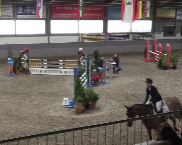 Reitturnier Luhmühlen 2024