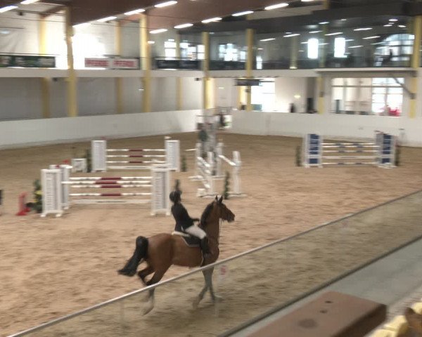 Reitturnier Stadl-Paura 2024