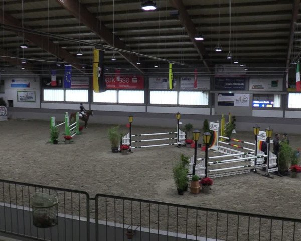 Reitturnier Luhmühlen 2024