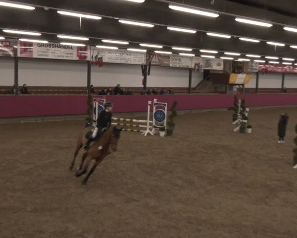 Reitturnier Vlotho-Exter 2024