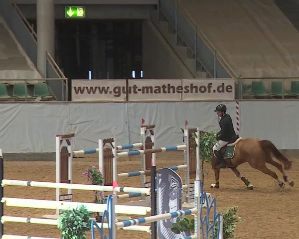Reitturnier Kreuth/Opf. 2024