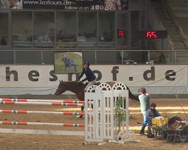 Reitturnier Kreuth/Opf. 2024