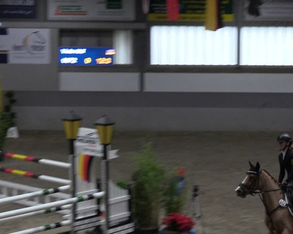 Reitturnier Luhmühlen 2024