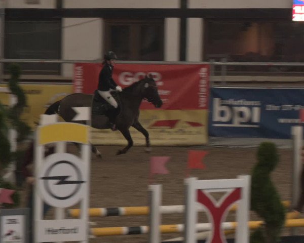 Reitturnier Vlotho-Exter 2024