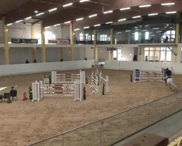 Reitturnier Stadl-Paura 2024