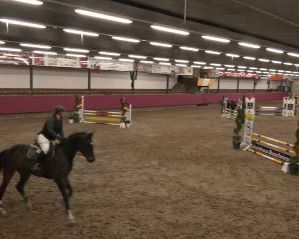 Reitturnier Vlotho-Exter 2024