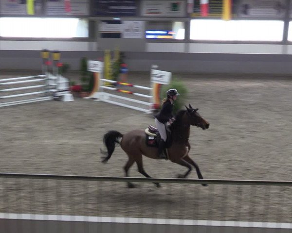 Reitturnier Luhmühlen 2024