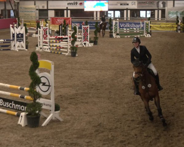 Reitturnier Vlotho-Exter 2024