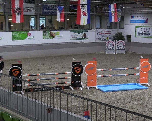 Reitturnier Luhmühlen 2024