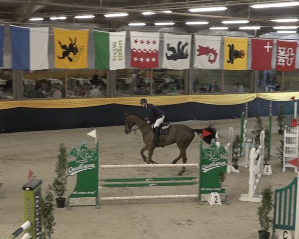 Reitturnier Erlen 2024