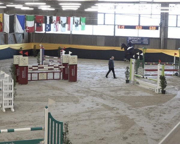 Reitturnier Erlen 2024
