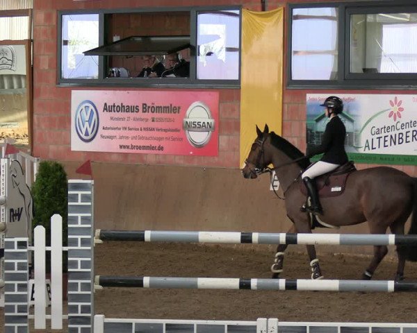 Reitturnier Altenberge 2024