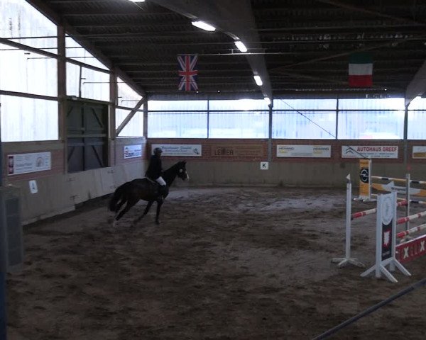 Reitturnier Lembeck 2024