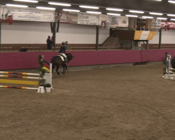 Reitturnier Vlotho-Exter 2024