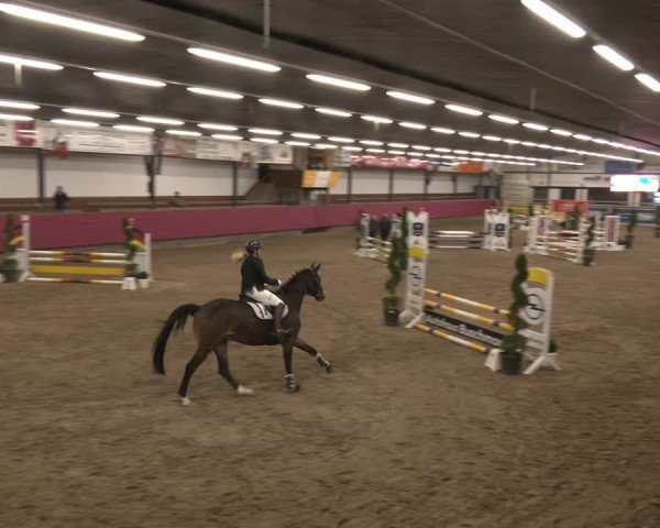 Reitturnier Vlotho-Exter 2024