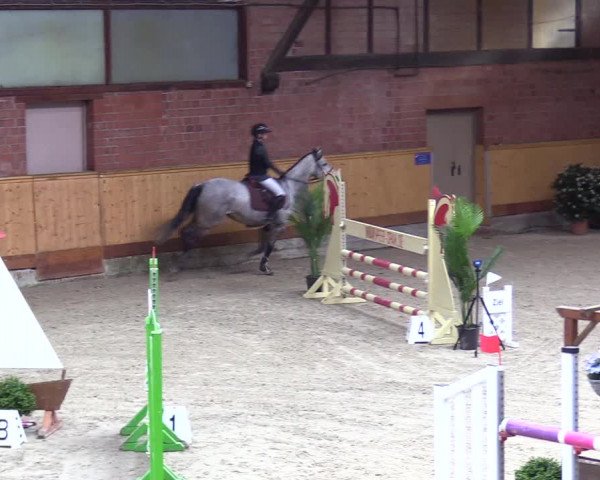 Reitturnier Hamburg-Friedrichshulde/Sylva Kuhrt 2024