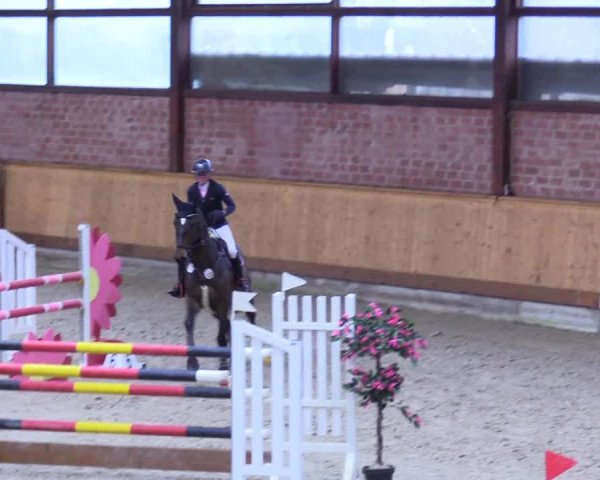 Reitturnier Hamburg-Friedrichshulde/Sylva Kuhrt 2024