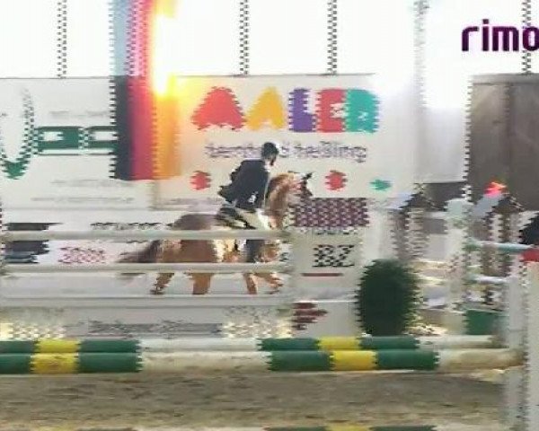 Borken 2011