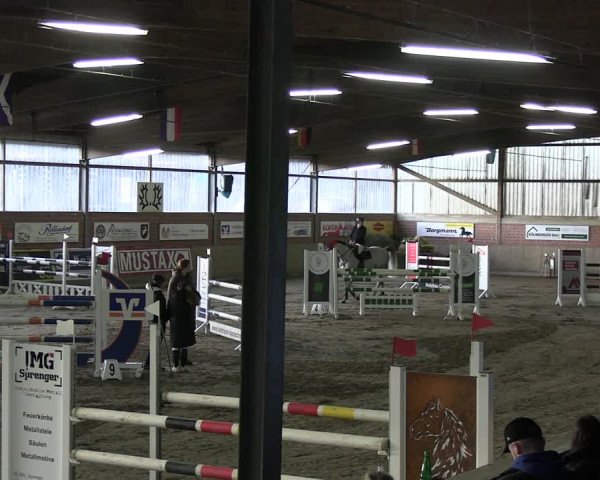 Reitturnier Lembeck 2024