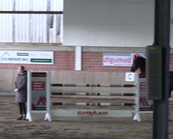 Reitturnier Lembeck 2024
