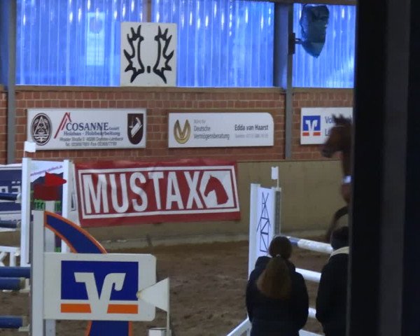 Reitturnier Lembeck 2024