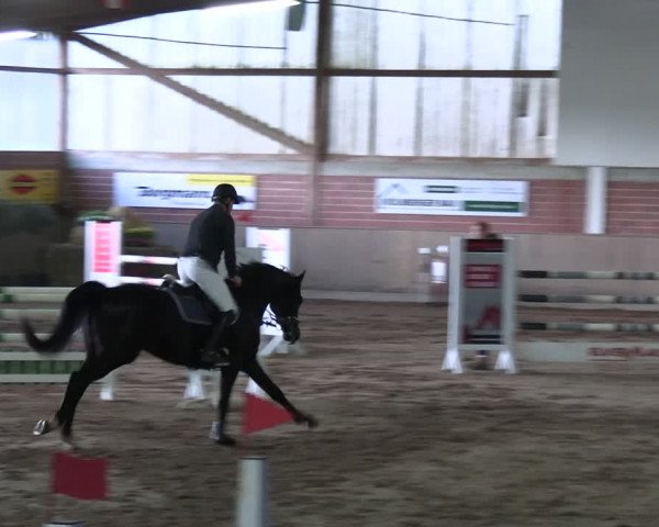 Reitturnier Lembeck 2024