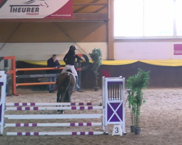 Reitturnier Sauldorf-Boll 2024