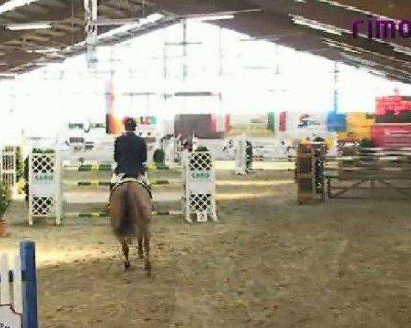 Borken 2011