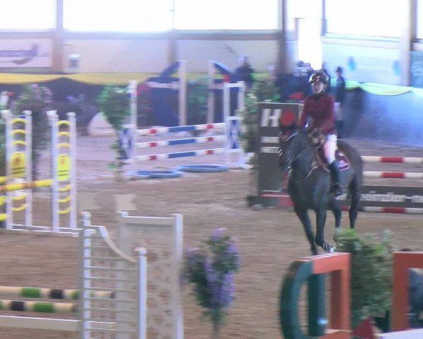 Reitturnier Sauldorf-Boll 2024