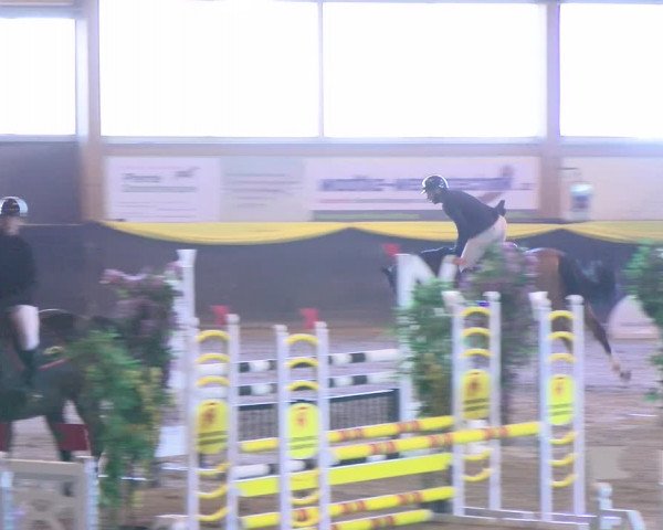 Reitturnier Sauldorf-Boll 2024