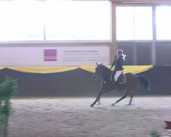 Reitturnier Sauldorf-Boll 2024