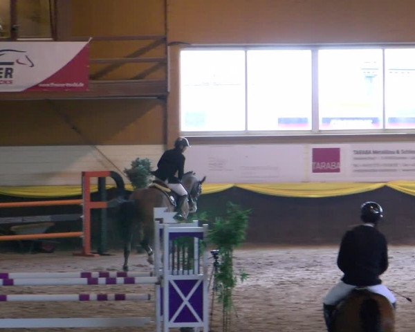 Reitturnier Sauldorf-Boll 2024