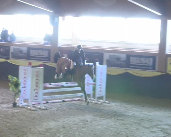 Reitturnier Sauldorf-Boll 2024