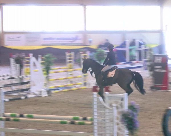 Reitturnier Sauldorf-Boll 2024