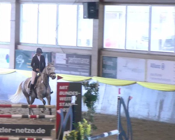 Reitturnier Sauldorf-Boll 2024