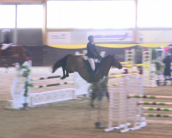 Reitturnier Sauldorf-Boll 2024