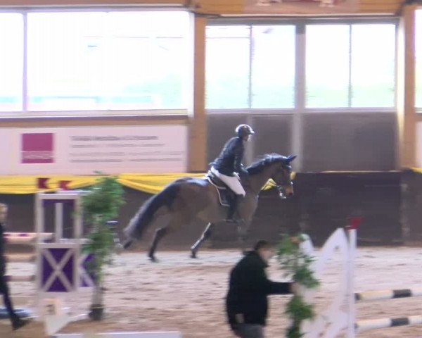 Reitturnier Sauldorf-Boll 2024