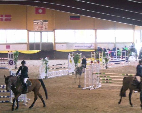 Reitturnier Sauldorf-Boll 2024